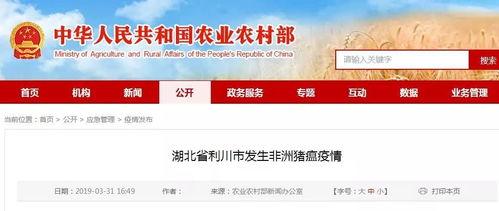 利川市新闻媒体爆料,重大事件引发社会关注！  第3张